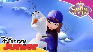 Sofia the First The Secret Library  A Snowmans Advise  Official Disney Junior Africa [upl. by Clova]