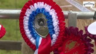 The Reeth Show 2018 Agricultural Show in Upper Swaledale [upl. by Bernice]