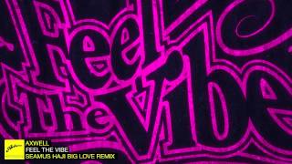 Axwell  Feel The Vibe Seamus Haji Big Love Remix [upl. by Ahsyat142]