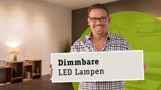 Dimmbare LED Lampen  die richtige Wahl von Leuchtmittel Trafo und Dimmer [upl. by Gievlos]