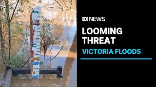 Victorian floods move towards Shepparton as Goulburn river peaks in Murchison  ABC News [upl. by Koziara]