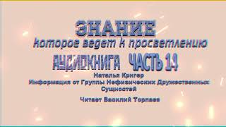 РЕАЛЬНЫЕ МЕЧТЫ 🕮 Часть 14 Послания Нефизических Друзей просветление пробуждение NALA [upl. by Diskin]