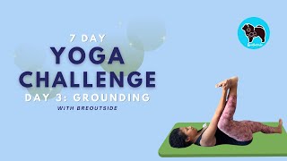 Beginner 7 Day Yoga Challenge Day 3 Grounding  Hatha Yoga  Gentle Yoga  BreOutside [upl. by Yellah647]