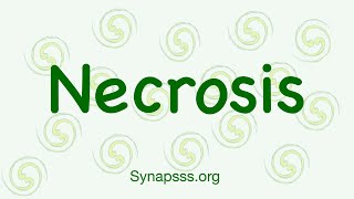 Necrosis definition morphology nuclear changes mechanisms types [upl. by Martina]