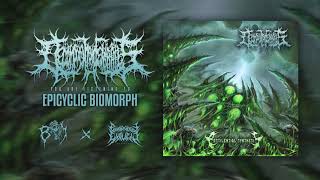 DECOMPOSITION OF ENTRAILS  Epicylic Biomorph  PATHOLOGICAL EXPLICIT Recs  BRUTAL MIND PROMOTION [upl. by Henri]