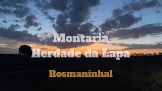 Montaria Herdade da Lapa Rosmaninhal Tiago Tacão [upl. by Midis]