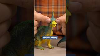 Tsintaosaurus used Confusion It was Super Effective dinosaur dinosaurs education toys science [upl. by Kared]