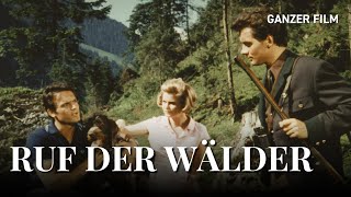 Ruf der Wälder 1965  Ganzer Film  HeimatfilmeTV [upl. by Dulci755]