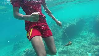 Pole spearfishing Foakaidhoo  Maldives [upl. by Alletnahs110]