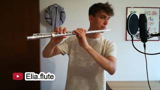 Dolceamaro  Flute cover [upl. by Inavihs]