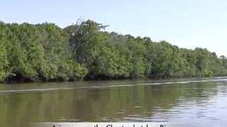 Luxury bed and breakfast on the Choctawhatchee River [upl. by Lahsiv]