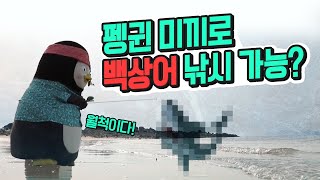 ENG피싱주의 힐링을 빙자한 섬 펭귄 착취현장feat펭비보벳따우ep107 [upl. by Horten]