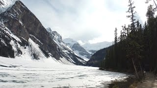 🇨🇦 4K WALK  Lake Louise Glacier Trail May 2024 Banff Alberta Canada [upl. by Ane712]