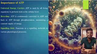 Adenosine Triphosphate [upl. by Rech]