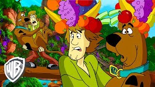 ¡Scooby Doo en Español  A la búsqueda de comida en la selva  WB Kids [upl. by Yeloc]