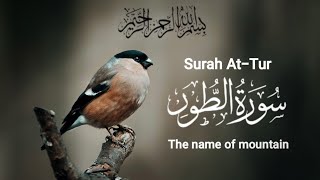 Surah no 52  Surah AtTur سورة الطور تلاوة Beautiful recitation abdullahabdul quran [upl. by Bently799]