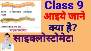 cyclostomata class 9 साइक्लोस्टोमेटा vedio 82 [upl. by Godliman]