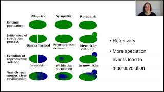 Speciation and macroevolution Part 2 [upl. by Glenden]