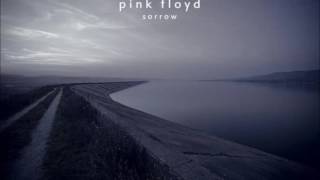 Pink Floyd Sorrow Remaster 51 HD [upl. by Menon]