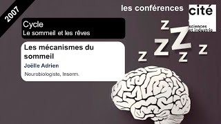 AVS quotL’importance du sommeil dans la perte de poidsquot  Dr Laurence Plumey [upl. by Dode73]