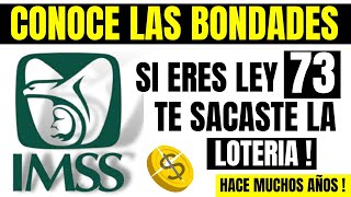 🔥NOTICIA IMPORTANTE PENSION IMSS💥Si Eres Ley 73 ADULTO MAYOR TE SACASTE LA LOTERÍA [upl. by Urial]