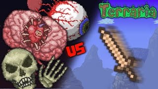 Terraria 3 Bosses VS Copper Shortsword  Turtle Amor [upl. by Horatio]