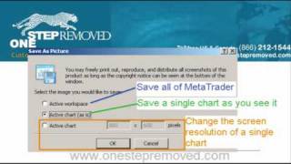 Taking Screenshots in MetaTrader Explained [upl. by Bromleigh335]