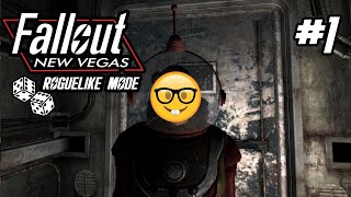 Fallout New Vegas but its a ROGUELIKE 1 [upl. by Aniuqal680]