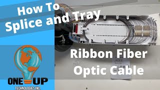 How To Splice and Tray Ribbon Fiber Optic Cable [upl. by Quenna]