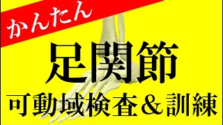 拘縮予防！「背屈・底屈」家族でできる関節可動域訓練ストレッチ リハビリ学生も必見！ [upl. by Leisam]