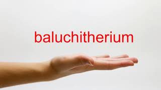 How to Pronounce baluchitherium  American English [upl. by Harley971]