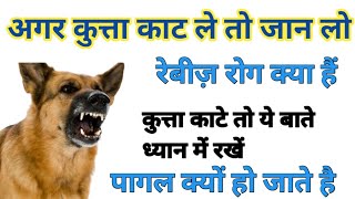 रेबीज कैसे होता है l rabies kaise hota hai l dog rabies kaise hota hai l by Ravikant [upl. by Yenots224]