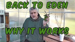 Back To Eden Gardening Method and Why It Works [upl. by Huba365]