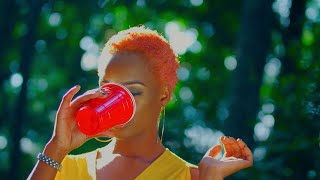 KING KAKA  NOMA FT RICH MAVOKO Official Music Video [upl. by Harleigh]