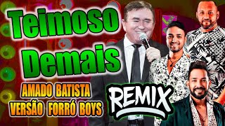 AMADO BATISTA  TEIMOSO DEMAIS  VERSÃO REMIX FORRÓ [upl. by Auohc]