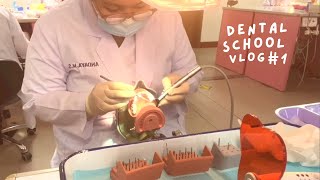 dental school vlog 1 limited f2f classes  Philippines [upl. by Laenej361]