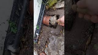 Gross 🤢 😳 Unblocking rodding point for kitchen sewer [upl. by Aigneis]