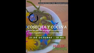 COSECHA Y COCINA  Taller de plantas silvestres comestibles [upl. by Firmin395]