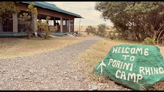 Safari Camping at Porini Rhino Camp Nanyuki Kenya [upl. by Mide]