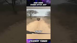 Huge Rhino Chases After Jeep – HeartPounding Safari Encounter  Craziest Things Part 445 [upl. by Standley]