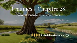 Psaumes  chapitre 28  Prière et louange pour la délivrance livreaudiogratuit lirelabible bible [upl. by Rayford367]