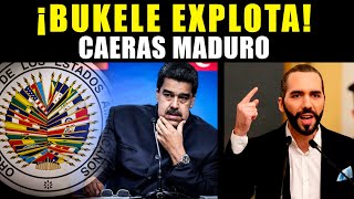 ¡Bukele Explota Contra la OEA y Envía Duro Mensaje a Maduro 🔥 [upl. by Towbin]