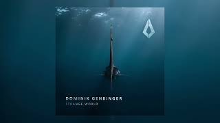 Dominik Gehringer  Strange World [upl. by Zennas]