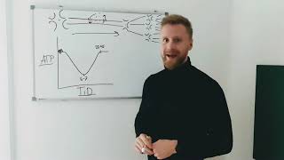 Hjernerystelse forklaring  Årsager til vedvarende hjernerystelse  Symptomer  Behandling [upl. by Tyne]