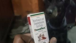 Dexaflox eyes drop For Dog Cat Cow Goat amp Hen Dont Use in Hours Eyes [upl. by Nhguav]