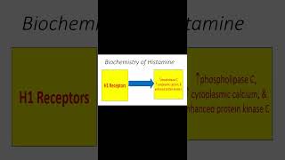 biochemistry of histamine 1 shorts [upl. by Hehre]