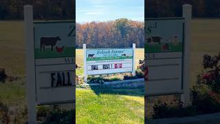 Zekiah Farm in Waldorf and its bountiful array of local produce [upl. by Ethelda]