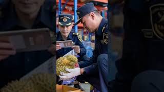 A batch of durians from Thailand successfully cleared through customs via crossborder 国际日报 青白江 [upl. by Karole]