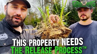 Food Plots Stop Tilling Start Planting Blends [upl. by Pega363]