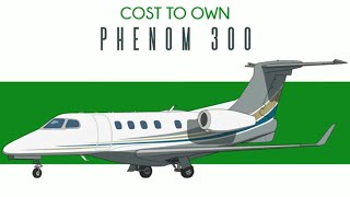 Phenom 300  The most one pilot can do [upl. by Greggory]